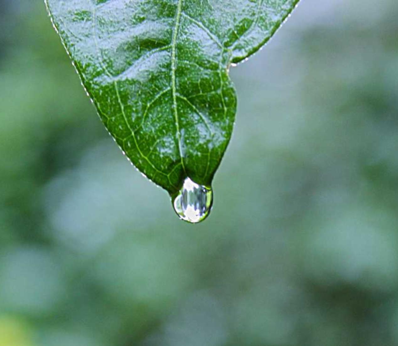 亿游国际平台怎么代理